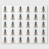 Papier Cadeau mouche de maison. (Plat)