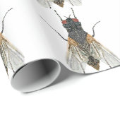 Papier Cadeau mouche de maison. (Coin rond)