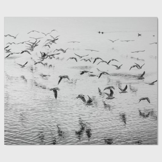 Papier Cadeau Mouettes en mouvement, image d'art noir et blanc (Plat)