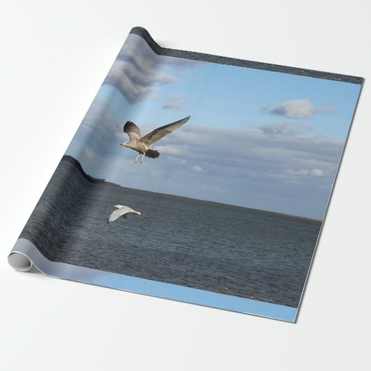 Papier Cadeau Mouettes en vol (Déroulé)
