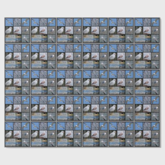 Papier Cadeau Mouettes et mouettes mosaïque (Plat)