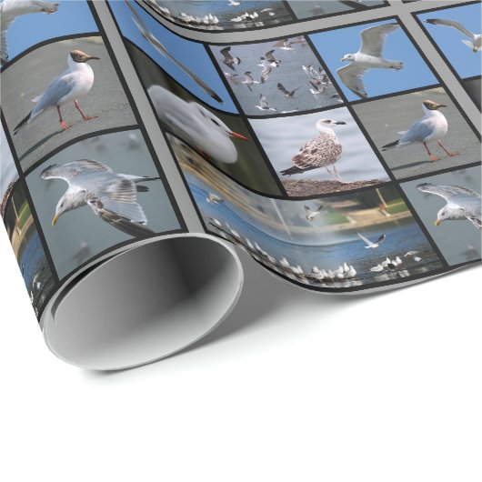 Papier Cadeau Mouettes et mouettes mosaïque (Coin rond)