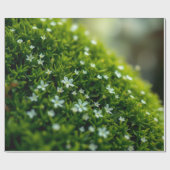 Papier Cadeau Mousse de la Forêt Enchantée de Printemps (Plat)