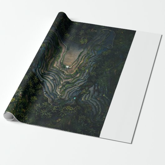 Papier Cadeau Mousse verte sur roche noire (Déroulé)