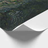 Papier Cadeau Mousse verte sur roche noire (Coin)