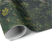 Papier Cadeau Mousse verte sur roche noire (Coin rond)