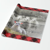 Papier Cadeau Mouton (Déroulé)