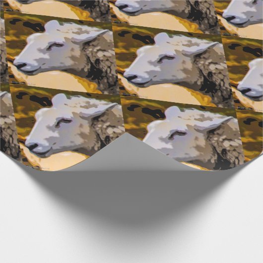 Papier Cadeau Moutons (Coin)