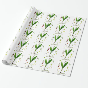 Papier Cadeau Muguet de mai