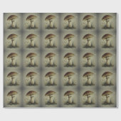 Papier Cadeau Mushroom Wrapping Paper (Plat)