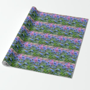 Papier Cadeau Myosotis des marais