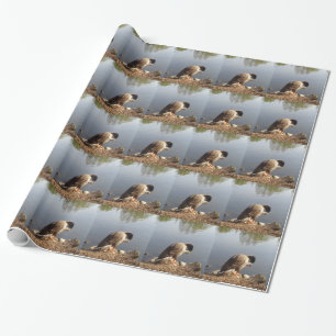 Papier Cadeau Namaste Goose arcs tête, Nature, Faune, Oiseaux