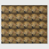 Papier Cadeau Nap de chat (Plat)
