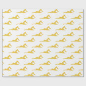 Papier Cadeau Natation (Plat)