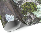 Papier Cadeau Nature Moss Lichen Camouflage Photo (Coin rond)