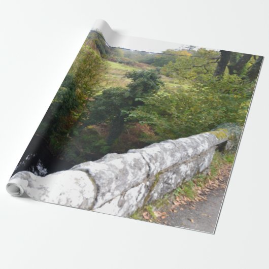 Papier Cadeau nature way of impersonating animals (Déroulé)