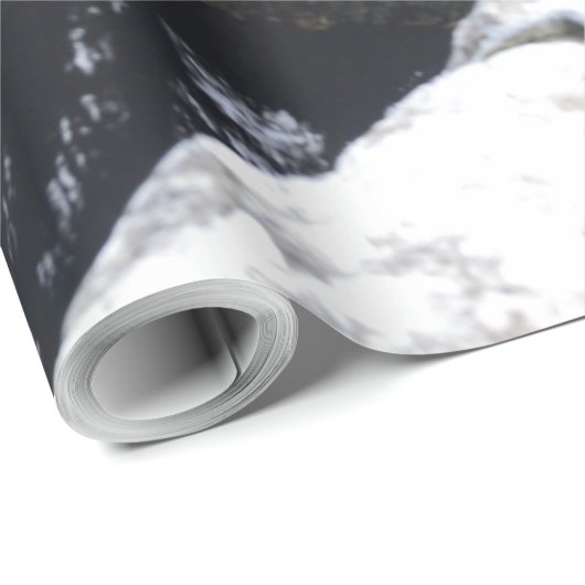 Papier Cadeau nature way of impersonating animals (Coin rond)