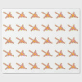 Papier Cadeau Nazca Lignes Colibri Avec Effet Papier Rincé (Plat)