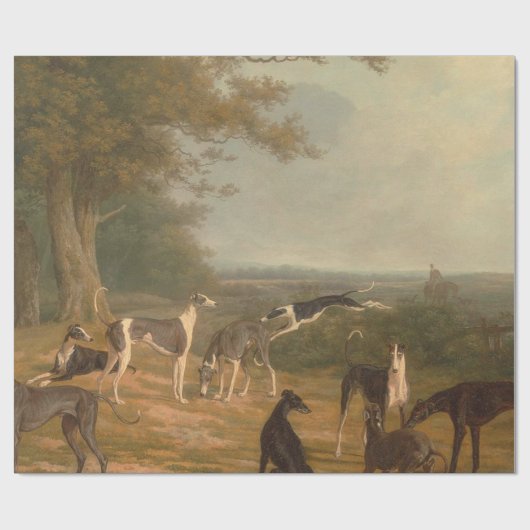Papier Cadeau Neuf Greyhounds Dans Un Paysage Jacques Laurent (Plat)