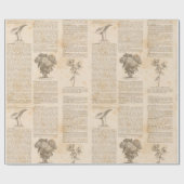 Papier Cadeau Newsprint botanique vintage (Plat)