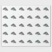 Papier Cadeau Nez de nuage (Plat)