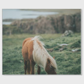 PAPIER CADEAU NICE HORSE (Plat)