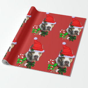 Papier Cadeau Noël américain de Terrier de pitbull