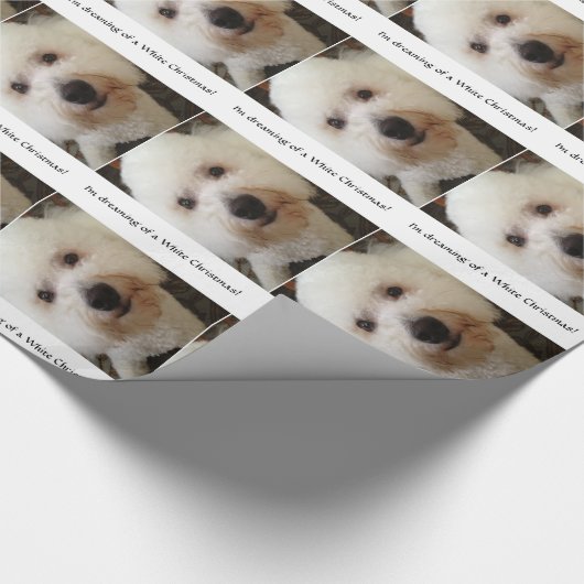 Papier Cadeau Noël blanc - Giftwrap (Coin)