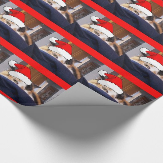 Papier Cadeau Noël Calico (Coin)