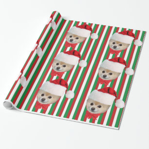 Papier Cadeau Noël, chien de Pomeranian, casquette de Père No