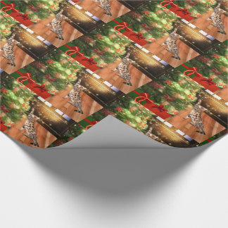 Papier Cadeau Noël de chat de minou du Bengale