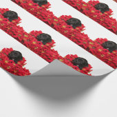 Papier Cadeau Noël de chiot de chiwawa (Coin)