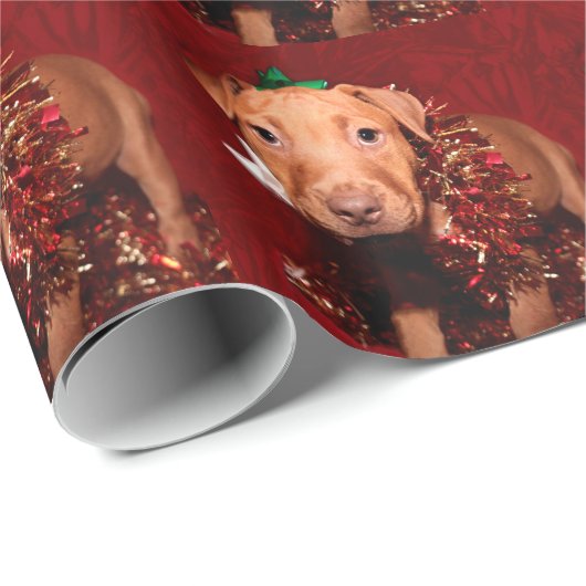 Papier Cadeau Noël de chiot de Pitbull (Coin rond)