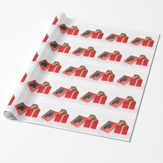 Papier Cadeau Noël de hamster (Déroulé)