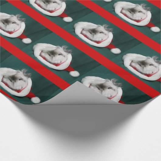 Papier Cadeau Noël de lapin (Coin)