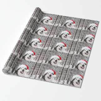 Papier Cadeau Noël de Malamute d'Alaska