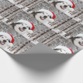 Papier Cadeau Noël de Malamute d'Alaska (Coin)