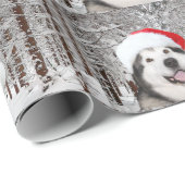 Papier Cadeau Noël de Malamute d'Alaska (Coin rond)