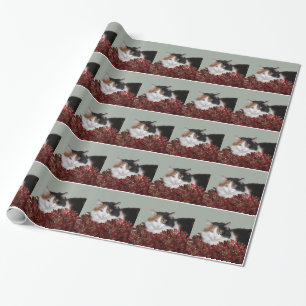Papier Cadeau Noël de minou de calicot