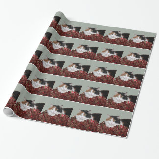 Papier Cadeau Noël de minou de calicot