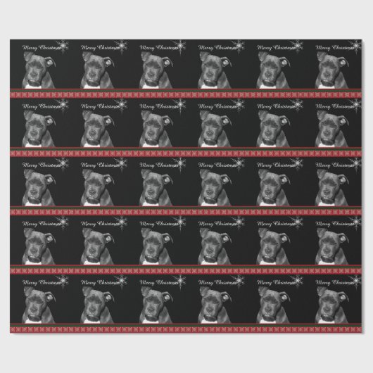 Papier Cadeau Noël de pitbull (Plat)