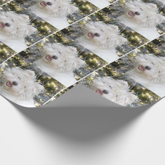 Papier Cadeau Noël de Westie (Coin)