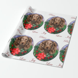 Papier Cadeau Noël d'épagneul de Boykin Joyeux