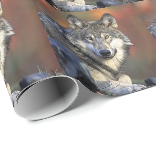 Papier Cadeau Noël des loups (Coin rond)