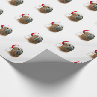 Papier Cadeau Noël drôle de cheval