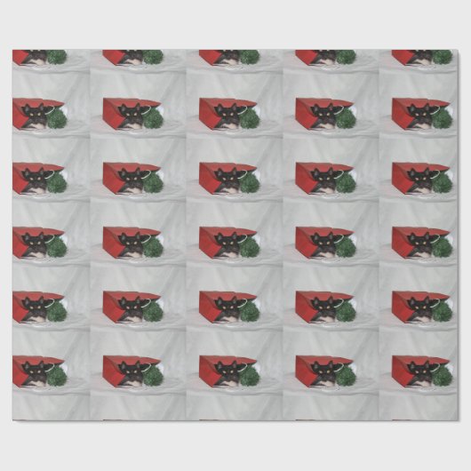 Papier Cadeau Noël du chat noir et blanc (Plat)