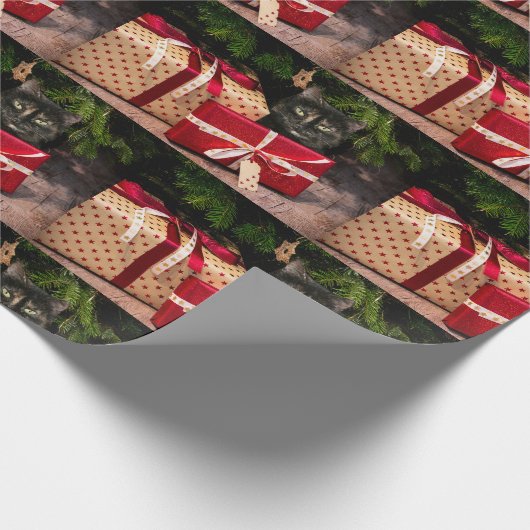 Papier Cadeau Noël du chat Toristeshell (Coin)