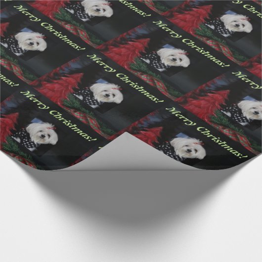 Papier Cadeau Noël maltais (Coin)