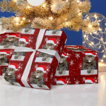 Noël Père Noël Chat Humbug Photo Red Snowflon