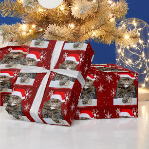 Papier Cadeau Noël Père Noël Chat Humbug Photo Red Snowflon